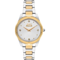 Изображение товара Женские часы Slazenger SL.09.2253.3.02 с фианитами и классом водонепроницаемости WR30