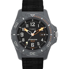 Изображение товара TIMEX TW2V40500