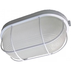 Изображение товара Настенно-потолочный светильник ЭРА НБП 04-100-002 Б0048426