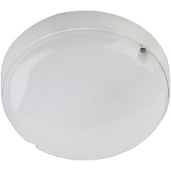 Изображение товара Настенно-потолочный светильник ЭРА SPB-201-0-65К-015 Б0047624