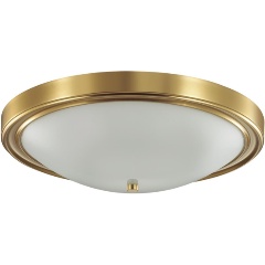 Изображение товара Настенно-потолочный светильник Lumion Nina 5259/4C