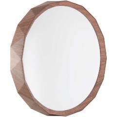 Изображение товара Настенно-потолочный светильник Sonex ZIF WOOD 7637/AL