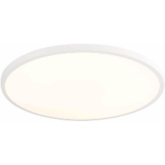 Изображение товара Настенно-потолочный светодиодный светильник ST Luce ST601.532.48