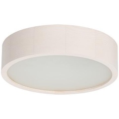 Изображение товара Настенный потолочный светильник Kanlux JASMIN 270-W 23123