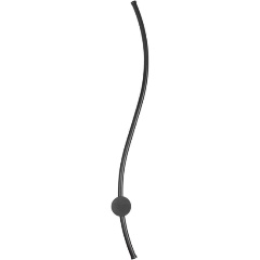 Изображение товара Настенный светильник LOFT IT Rays 10152 BK