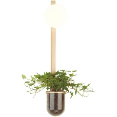 Изображение товара Настенный светильник Odeon Light Flower 4682/1WB