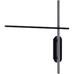 Изображение товара Настенный светильник Odeon Light RUDY 3890/20WLP