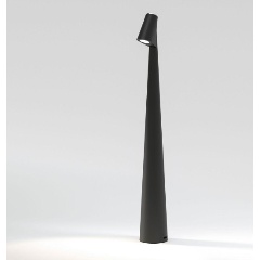 Изображение товара Настольная лампа Elektrostandard Elite TL70250 a068070