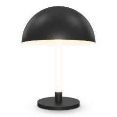 Изображение товара Настольная лампа Maytoni Ray Z012TL-L8B3K