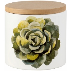 Изображение товара Емкость с крышкой Nuova Cer Cactus 15 см керамическая Италия