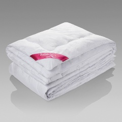 Изображение товара Одеяло легкое Verossa Искусственный лебяжий пух 200x220