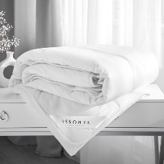 Изображение товара Одеяло легкое Verossa Шёлк 175х205