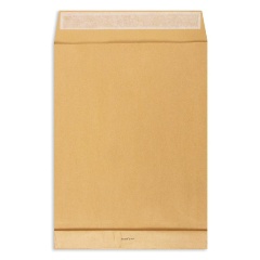 Изображение товара Пакет Extrapack Крафт E4 стрип 300х400х40 120г 250шт для документов