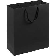 Изображение товара Пакет подарочный бумажный Wide (28x23x9.2 см, черный)