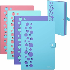 Изображение товара Папка-органайзер на кнопке 4 отделения, ERICH KRAUSE "Diagonal Pastel", 600 мкм, до 150 л., А4, ассорти, 61211