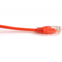 Изображение товара Патч-корд TWT UTP кат 5e 0,3 м оранжевый заливные колпачки