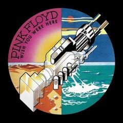Изображение товара Виниловая пластинка Pink Floyd - Wish You Were Here