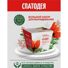 Изображение товара Подарочный набор ЭКОКЛУБ "Комнатные растения. Спатодея"