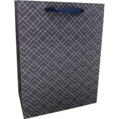 Изображение товара Пакет подарочный VELD CO 107841 ламинированный 17.8X22.9X9.8 см