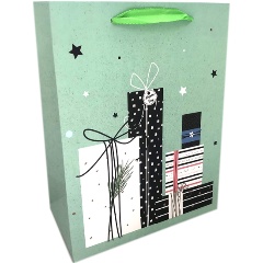 Изображение товара Пакет подарочный VELD CO 107872 Ламинированный 17.8X22.9X9.8 см