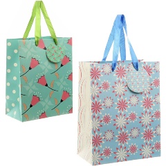 Изображение товара Пакет подарочный VELD CO 91019 ламинированный 17.8X22.9X9.8 см