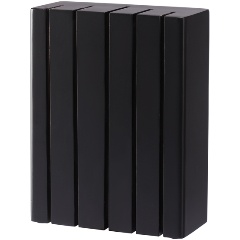 Изображение товара Подставка для ножей Liberty Jones Hevea 16,6x7,3x21,8 см черная с магнитами