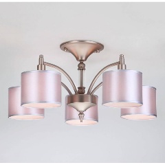 Изображение товара Потолочная люстра Eurosvet 60080/5 сатин-никель.