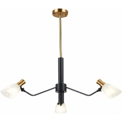 Изображение товара Подвесная люстра Evoluce Lita SLE205403-03