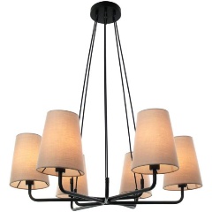 Изображение товара Подвесная люстра Favourite Pfefferling 2364-6P.