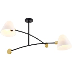 Изображение товара Потолочная люстра Favourite Statera 3045-2P