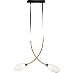 Изображение товара Подвесная люстра Indigo Fiore 13001/2P Black V000140