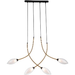 Изображение товара Подвесная люстра Indigo Fiore 13001/4P Black V000141