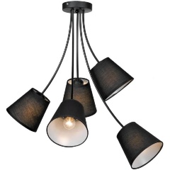 Изображение товара Подвесная люстра Lussole Lgo Lafayette GRLSP-8266.