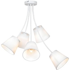 Изображение товара Подвесная люстра Lussole Lgo Lafayette GRLSP-8267.