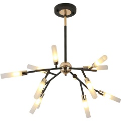 Изображение товара Большая современная люстра Lussole Loft Astoria GRLSP-8332 с 12 светодиодными лампами