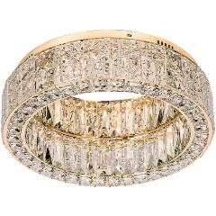 Изображение товара Подвесная светодиодная люстра Odeon Light VERSION 5071/60CL