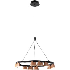 Изображение товара Подвесная светодиодная люстра Favourite Interline 4266-12P для гостиной