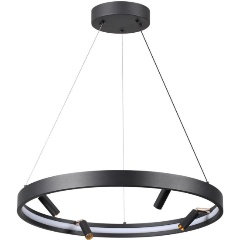 Изображение товара Подвесная светодиодная люстра Odeon Light Hightech Fonda 4317/58L