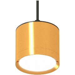 Изображение товара Подвесной светильник Ambrella Light XP XP8121012