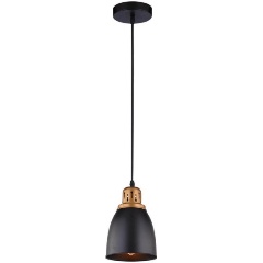 Изображение товара Подвесной светильник Arte Lamp Eurica A4248SP-1BK_