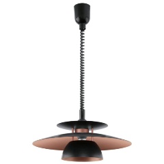 Изображение товара Подвесной светильник Eglo Brenda 31666, артикул 31666_Eglo