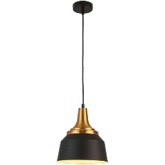 Изображение товара Подвесной светильник Escada 1102/1S черный металлический