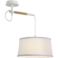 Изображение товара Подвесной светильник F-Promo Eureka 3005-1P