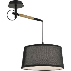 Изображение товара Подвесной светильник F-Promo Eureka 3006-1P