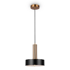 Изображение товара Подвесной светильник Freya Izza FR4008PL-01BBS