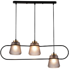 Изображение товара Подвесной светильник Indigo Astratto 11016/3P Black V000158