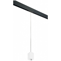 Изображение товара Подвесной светильник Lightstar Rullo PRORP336