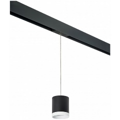 Изображение товара Подвесной светильник Lightstar Rullo PRORP34873486