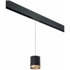 Изображение товара Подвесной светильник Lightstar Rullo PRORP348790 черный