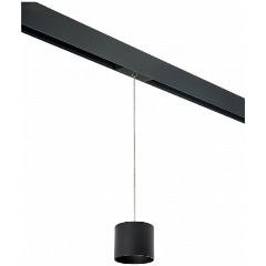 Изображение товара Подвесной светильник Lightstar Rullo PRORP3487 для гостиной модерн черный